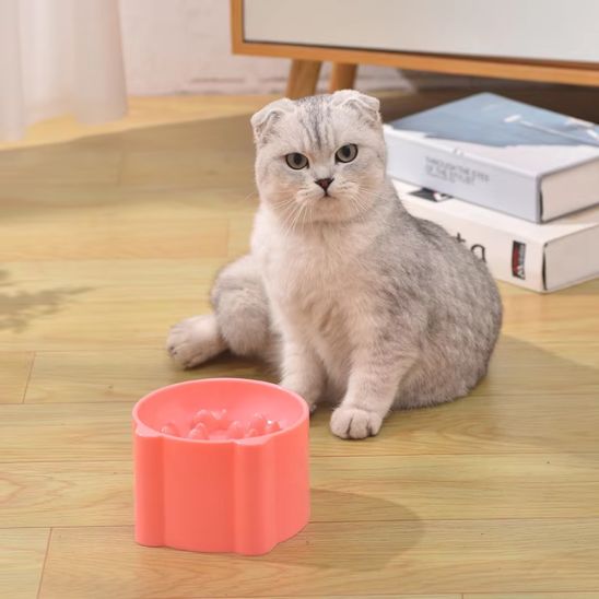 Gamelle Anti-Glouton surélevée -Anti-glutton bowl™