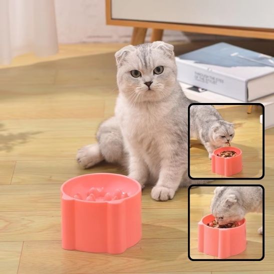 Gamelle Anti-Glouton surélevée -Anti-glutton bowl™