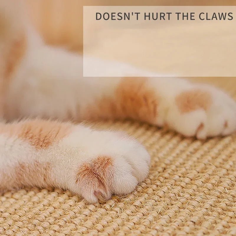 Grattoir pour chat-Catscratcher™