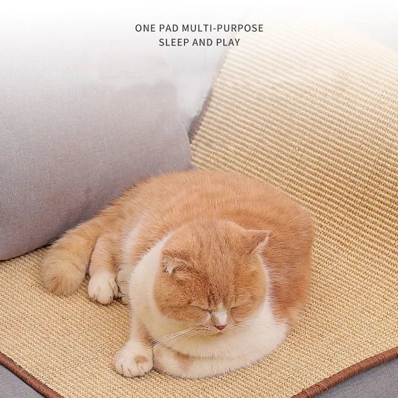 Grattoir pour chat-Catscratcher™