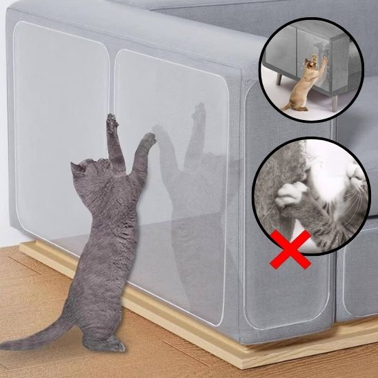 Film Anti-Griffure Transparent-AntiScratchFilm™