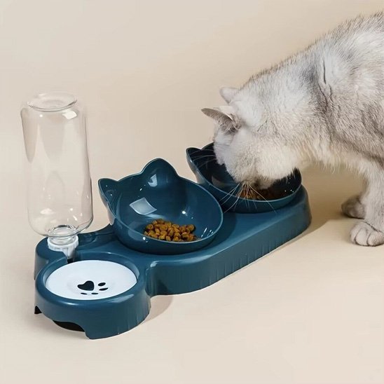 Gamelle-chat-mange-dabs-sa-gamelle