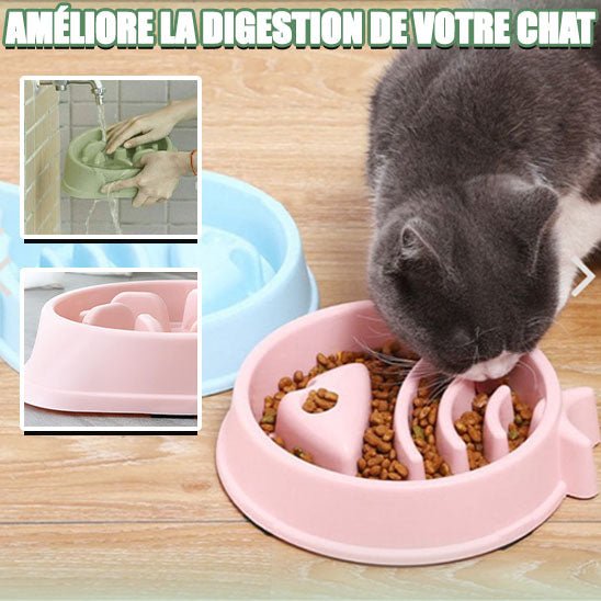 Gamelle pour chat Anti étouffement-slowmealbowl™