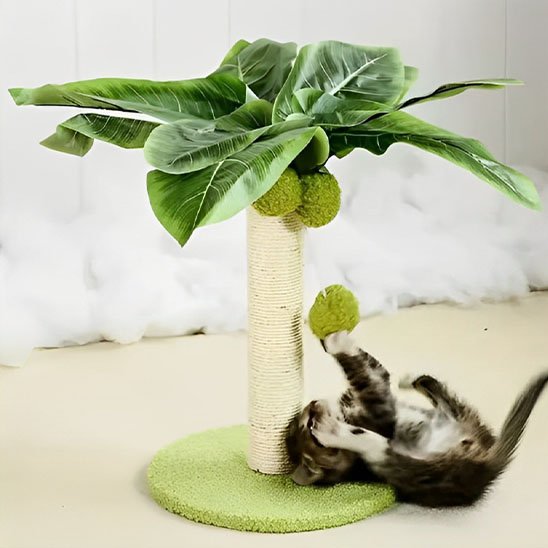 Griffoir-chat-chaton-joue-dans-le-salon