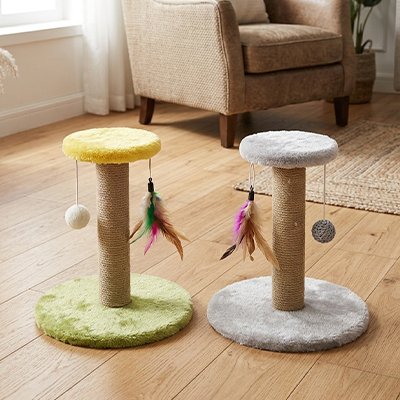 Griffoir-Chat-deux-griffoir-dans-le-salon