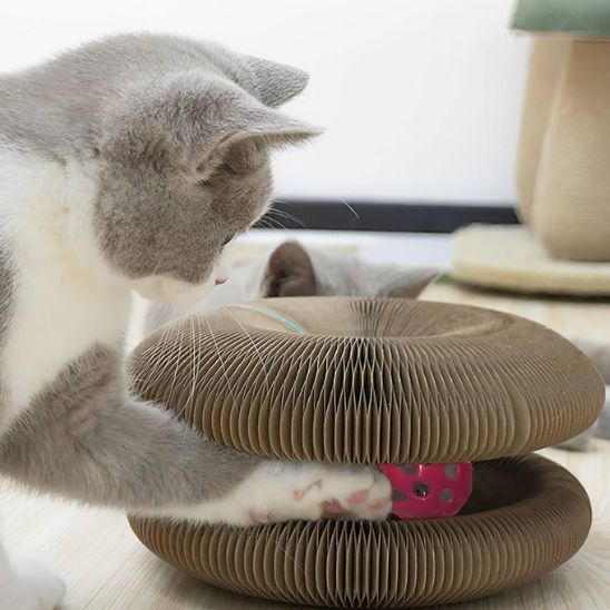 Grattoir pour chat™ | accordéon pliable