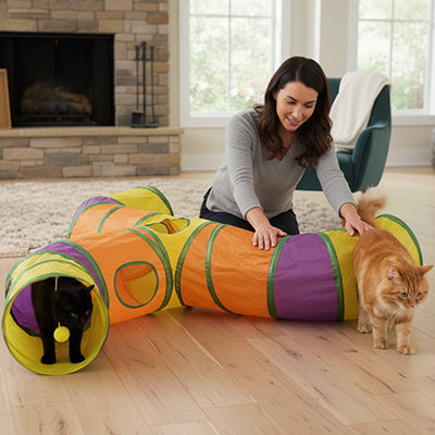 Tunnel pour chat | tunnel coloré pliable