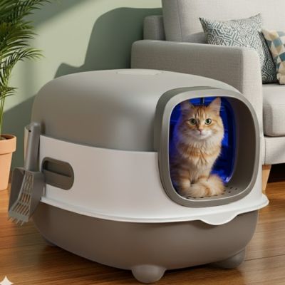 Bac-a-litiere-chat-dans-le-salon