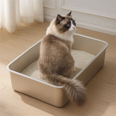 Bac litière Chat | Inox Premium