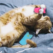 Jouet pour chat - Bitingtoy™