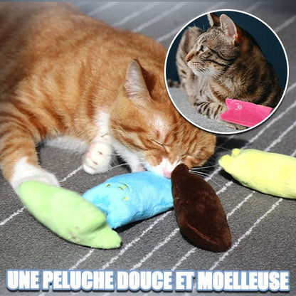 Jouet pour chat - Bitingtoy™