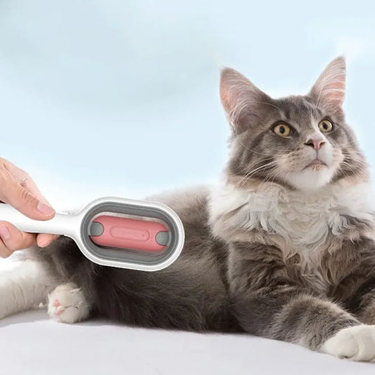 Brosse-chat-couche-aimese-aire-brosser