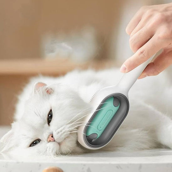 Brosse-chat-couche-coucher-se-fait-brosser