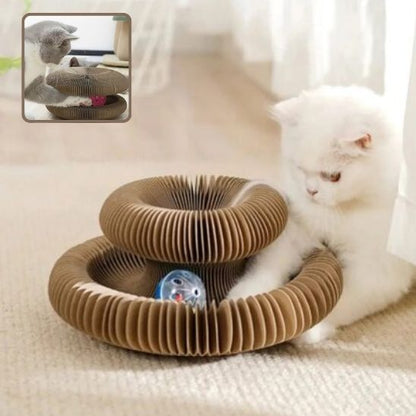 Chat-qui-joue-avec-la-bal
