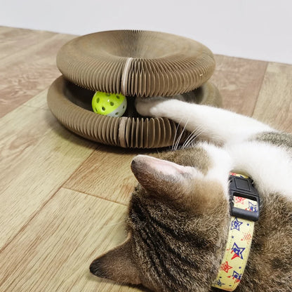 Chat-qui-joue