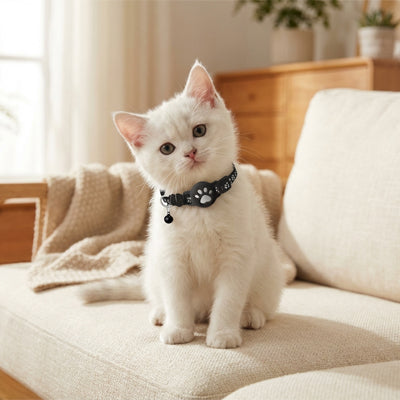 Collier GPS chat™ | localisation en temps réel