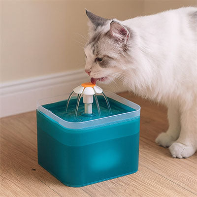 Fontaine-a-eau-Chat-blanc-qui-boit