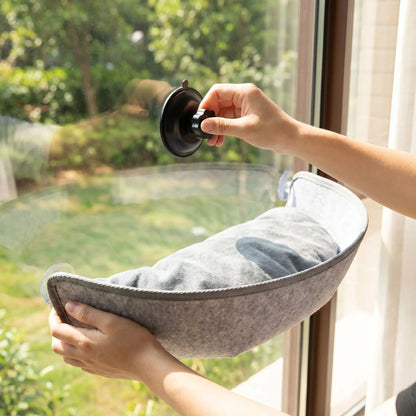 une main fixe le hamac pour chat sur la vitre