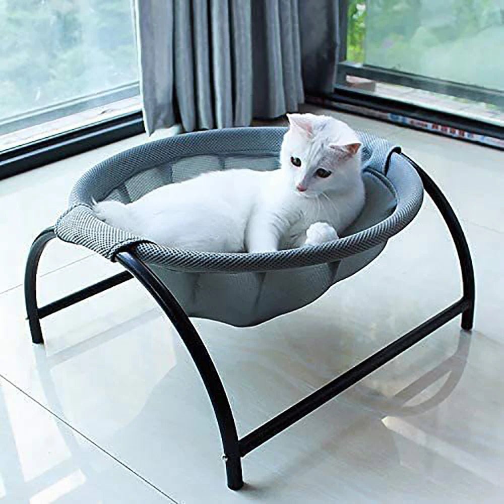 Hamac pour chat sureleve respirant chat blanc qui semble vouloir jouer