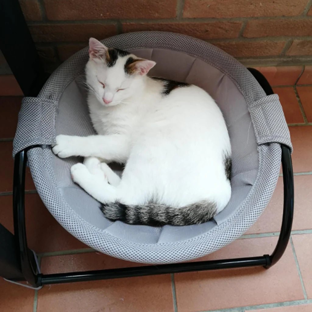 Hamac pour chat sureleve respirant chat qui somnol