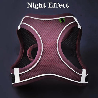 Harnais pour Chat-CatHarness™