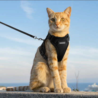Harnais pour Chat | Sécurifélin