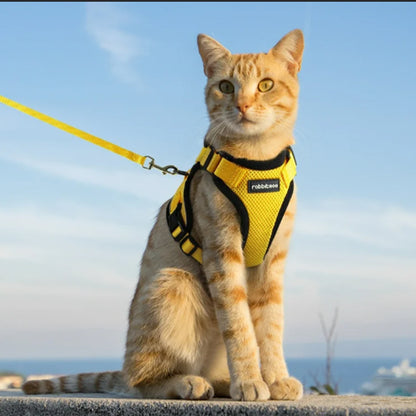 Harnais pour Chat | Sécurifélin