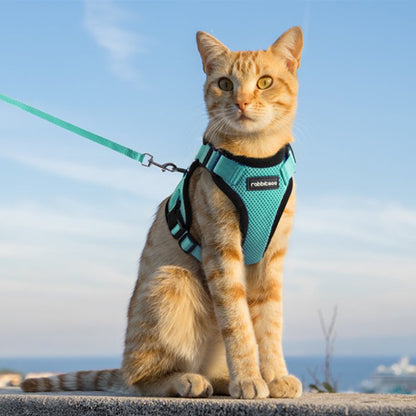 Harnais pour Chat | Sécurifélin