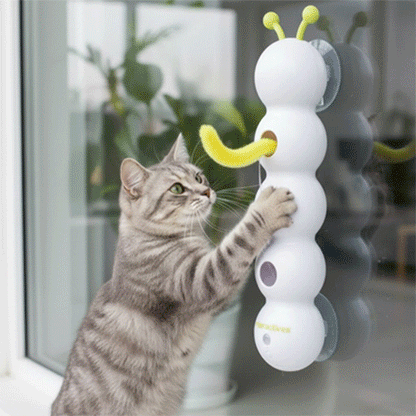 Jouet chat interactif | Serenity Pro