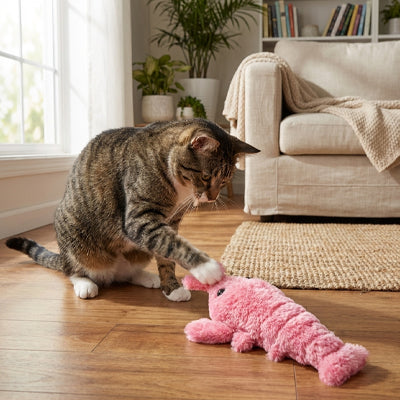 Jouet Chat Interactif | Homard Chasseur Autonome