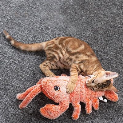 Jouet Chat Interactif | Homard Chasseur Autonome