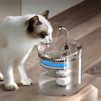 Minou boit a sa fontaine a eau chat