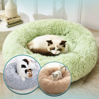 Niche pour chat coussin-Softcushion™