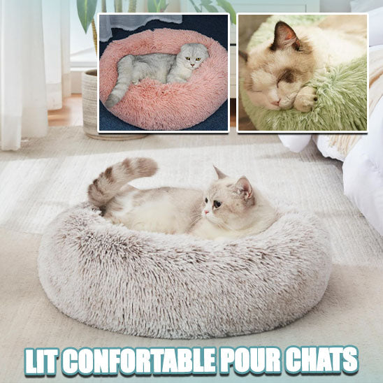 Niche pour chat coussin-Softcushion™