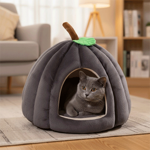 Niche pour chat | Citrouille Cocooning