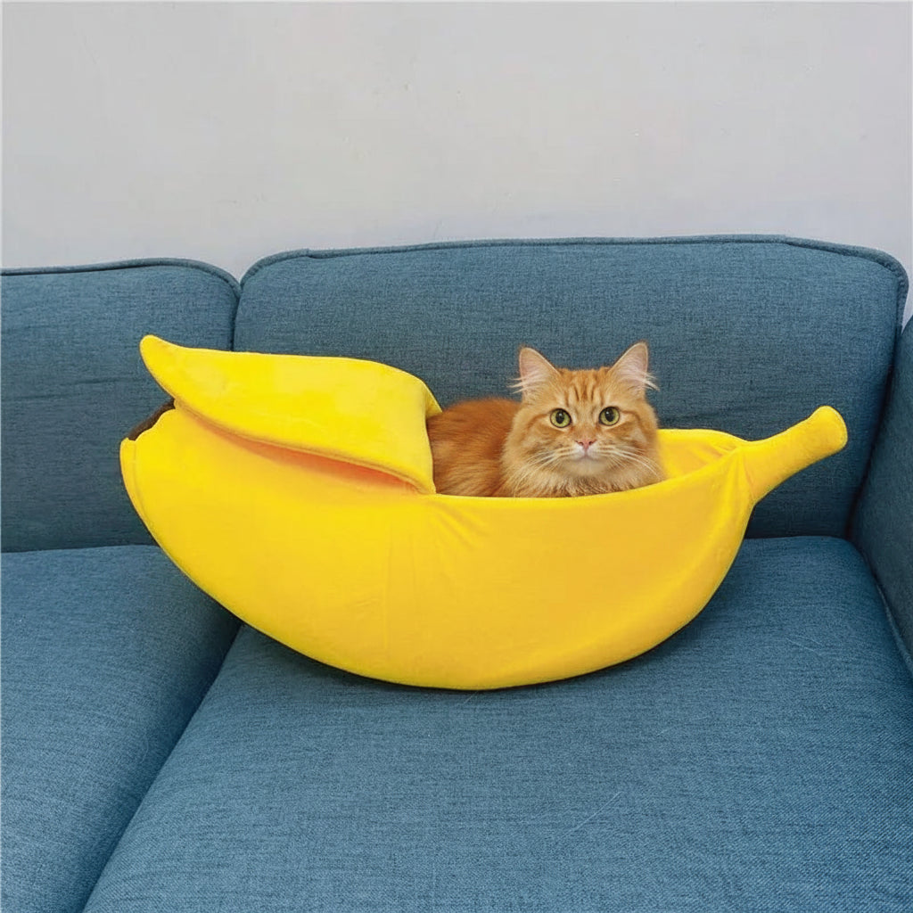 Niche pour chat forme banane sur le canape devant