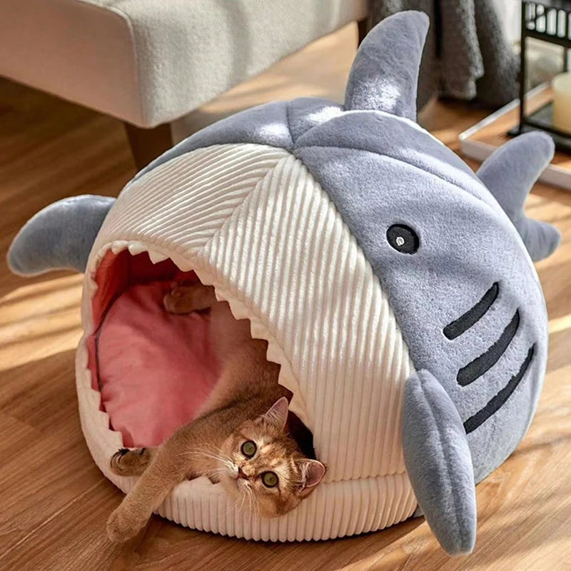 chat coucher dans la niche pour chat requin bleu