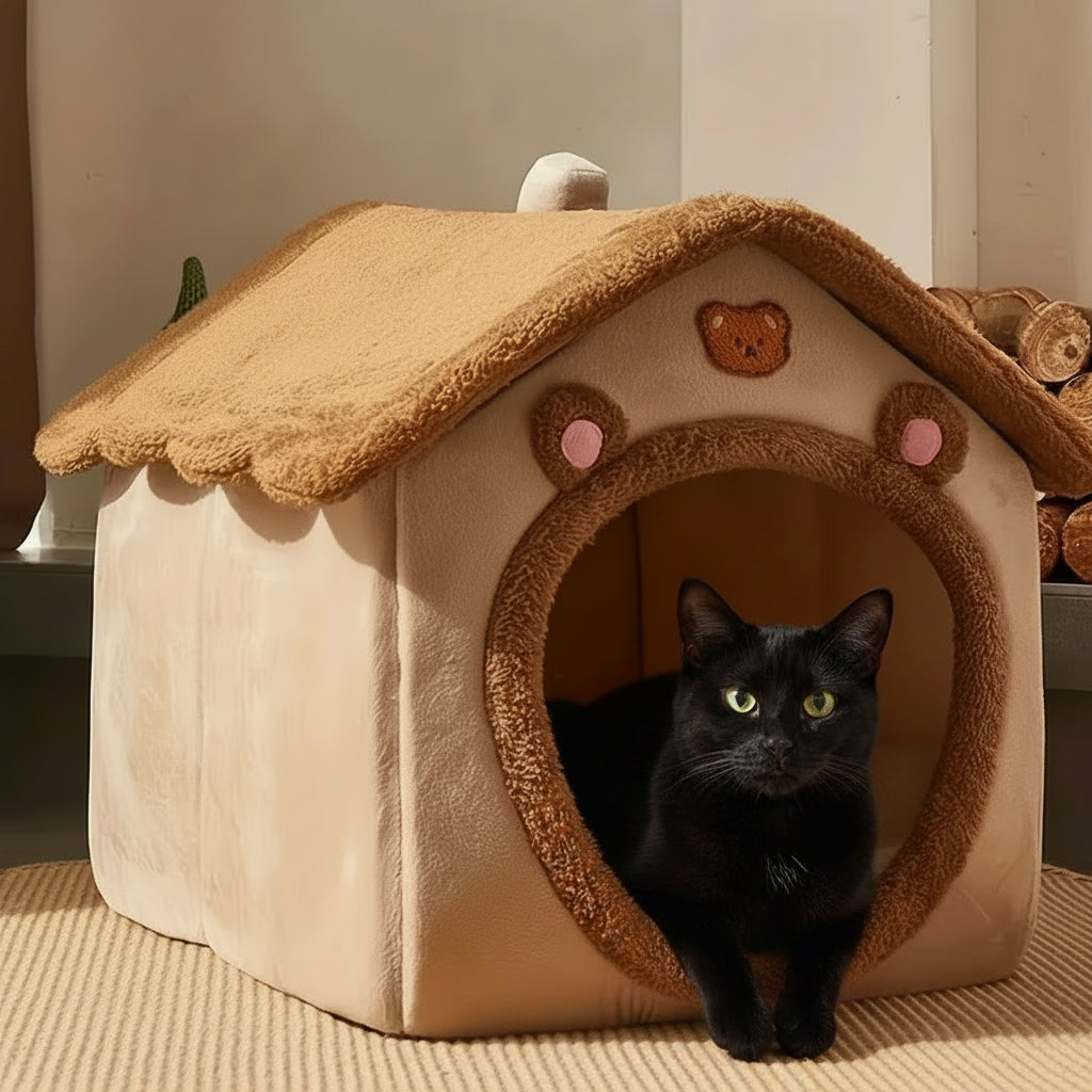 Niche pour chat maison douillette chaton coucher qui regarde dehort