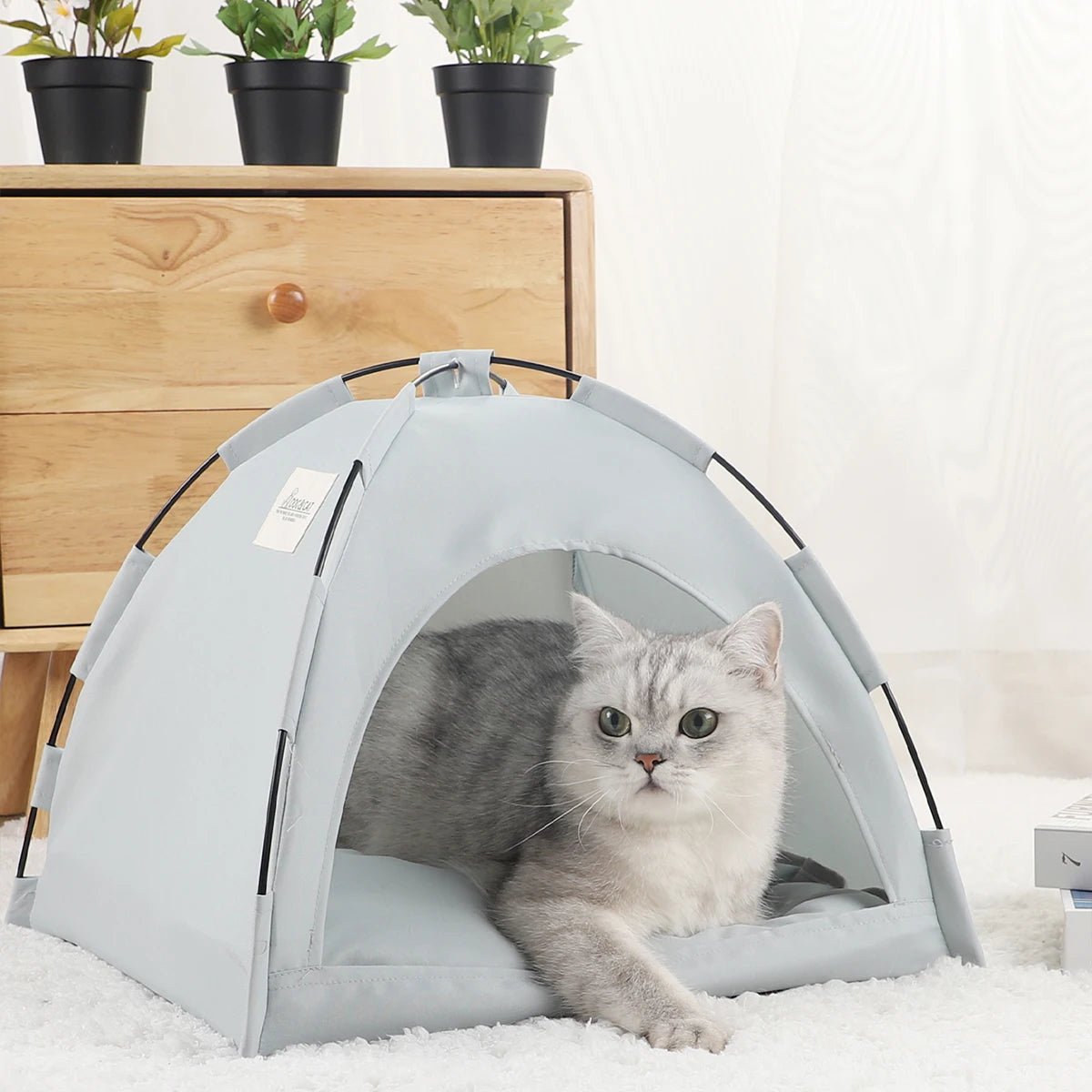 Niche pour chat tente pliable gris avec un chat à l'interieur