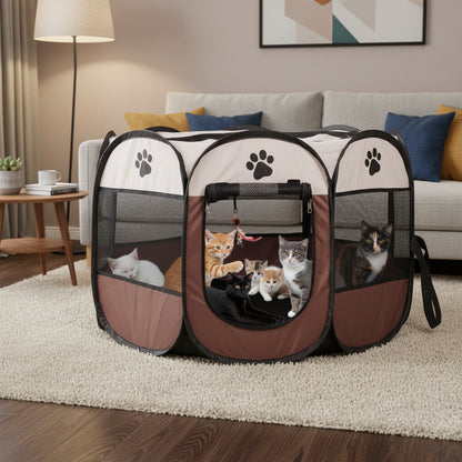 Parc pour chat grand espace avec des chaton dans le salon