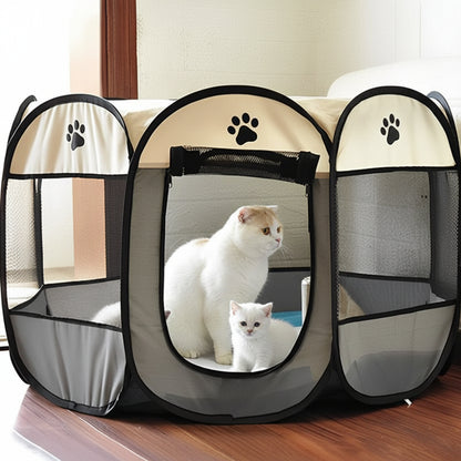 Parc pour chat grand espace dans le salon avec des chatons