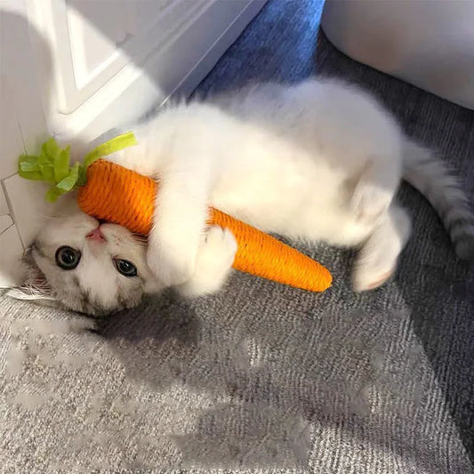 Jouet pour Chat Carotte-Carrotteethingstick™