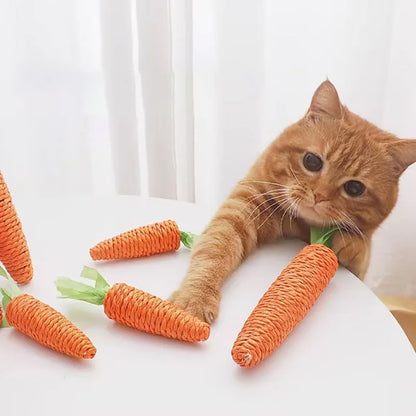 Jouet pour chat | carotte à mâcher