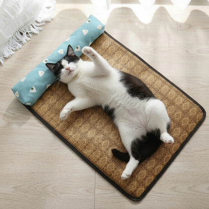 chat heureux coucher sur le dos