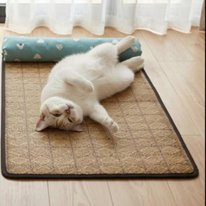 chat blanc couché sur le dos