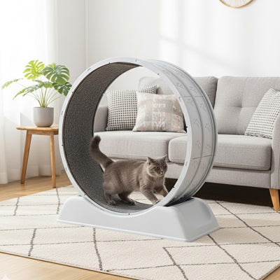 Tapis roulant dans le salon