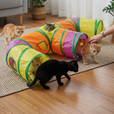 Tunnel-pour-chat-plusieurs-chat-joue