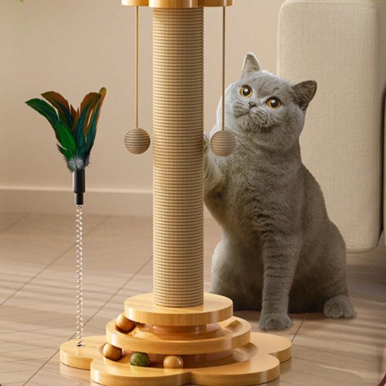 Arbre à chat | multifonction 4 en 1