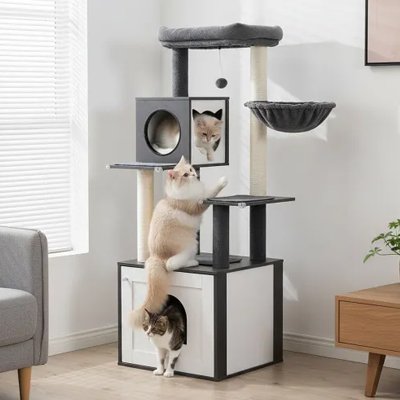Arbre-a-Chat-en-bois-chat-joue