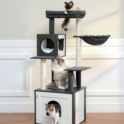 Arbre-a-Chat-en-bois-chat-sur-l'arbre